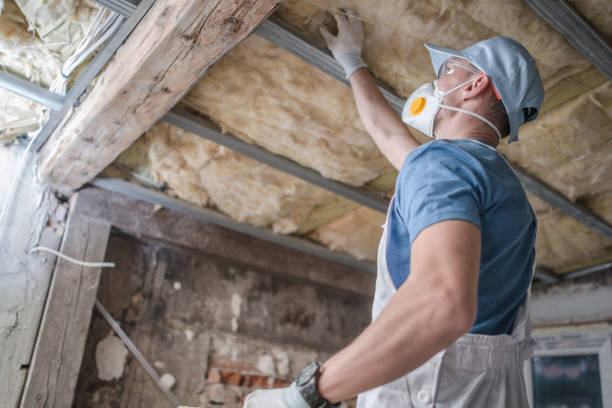 Best DIY Insulation Kits and Guidance in Boalsburg, PA